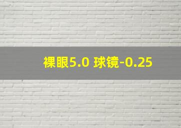 裸眼5.0 球镜-0.25